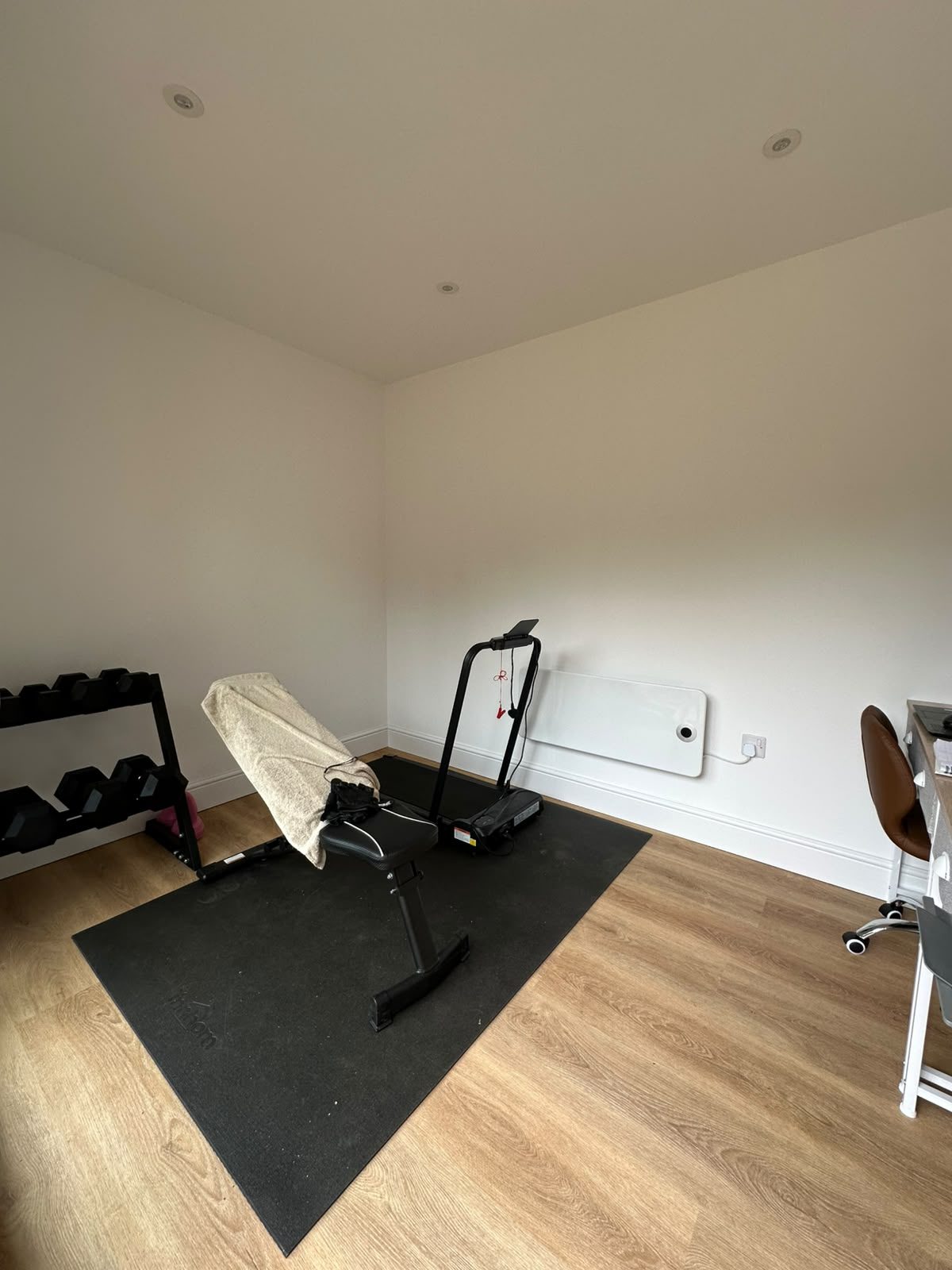 garage conversion used as home gym